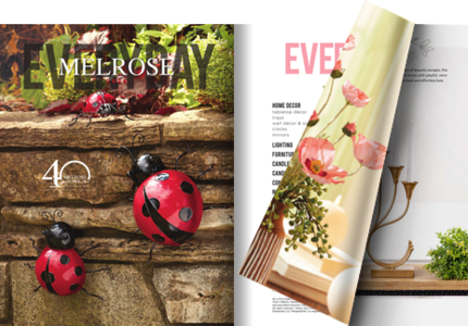 Everyday 2026 Catalog